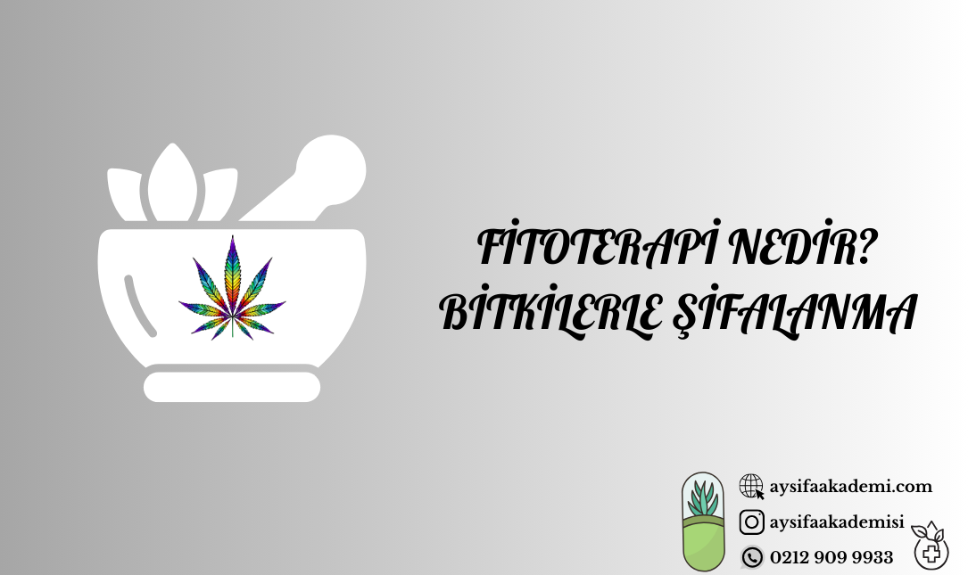 Fitoterapi Nedir? Bitkilerle Şifa Bulmanın Sırları